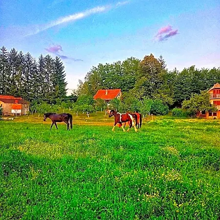 Suncev Brijeg Banja Luka